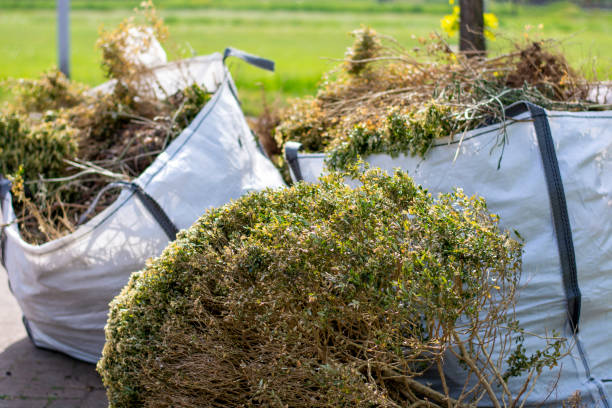 Best Property Management Cleanouts  in Farmers Branch, TX